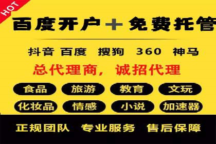提升广告ROI：SEM竞价优化的实战案例